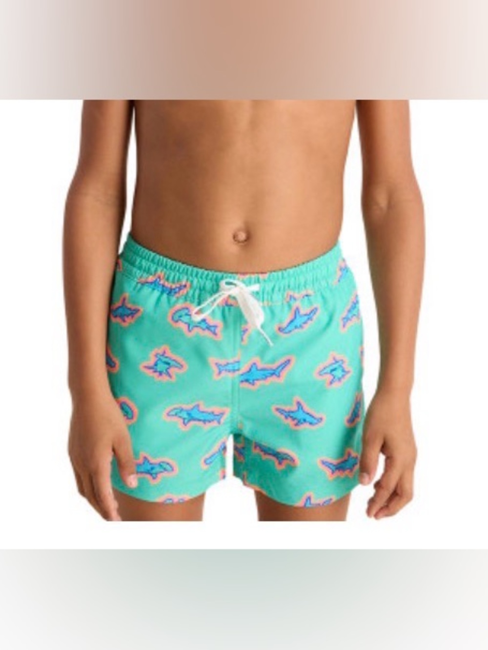 Chubbies | EUC - Hammerhead Shark Swim Trunk - Mesh lining - Size 6 - Boys